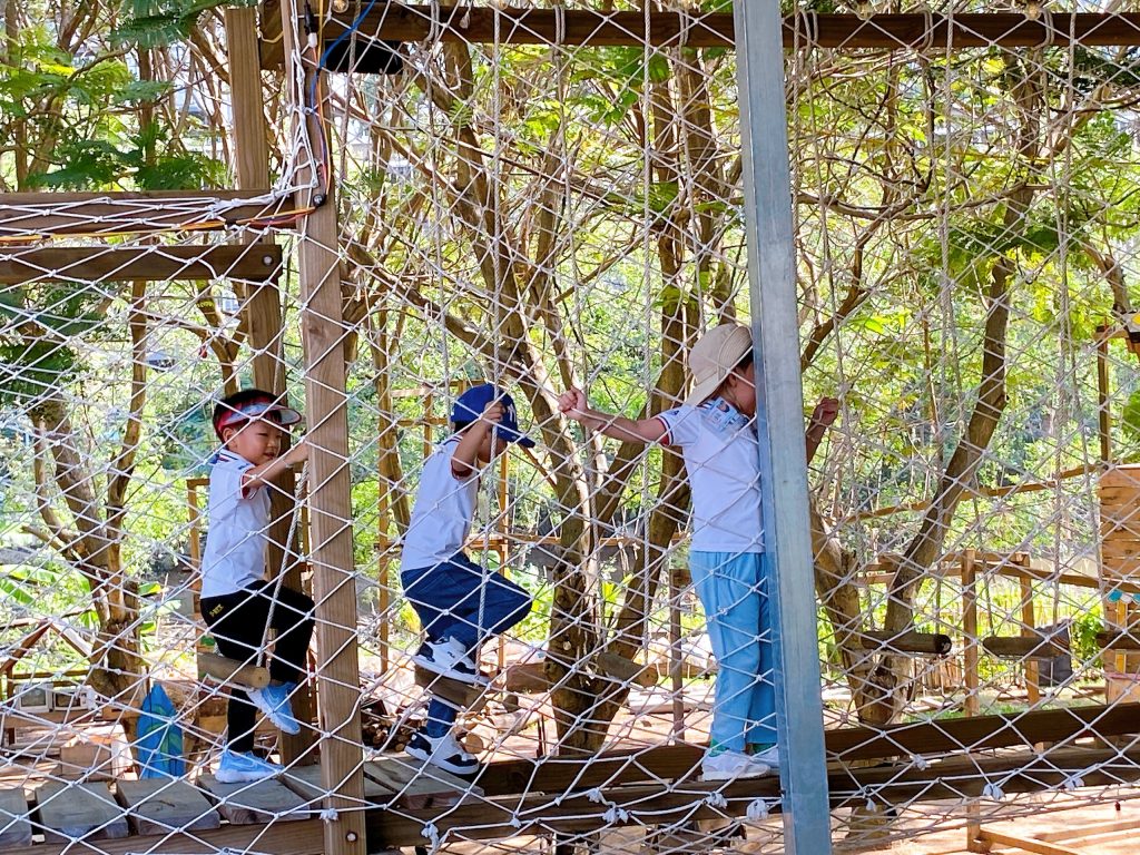 TINKER PLAY – SÂN CHƠI GỖ VÀ TRIẾT LÝ GIÁO DỤC SỚM REGGIO, STEINER, MONTESSORI