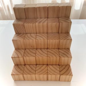 Khối gỗ toán học