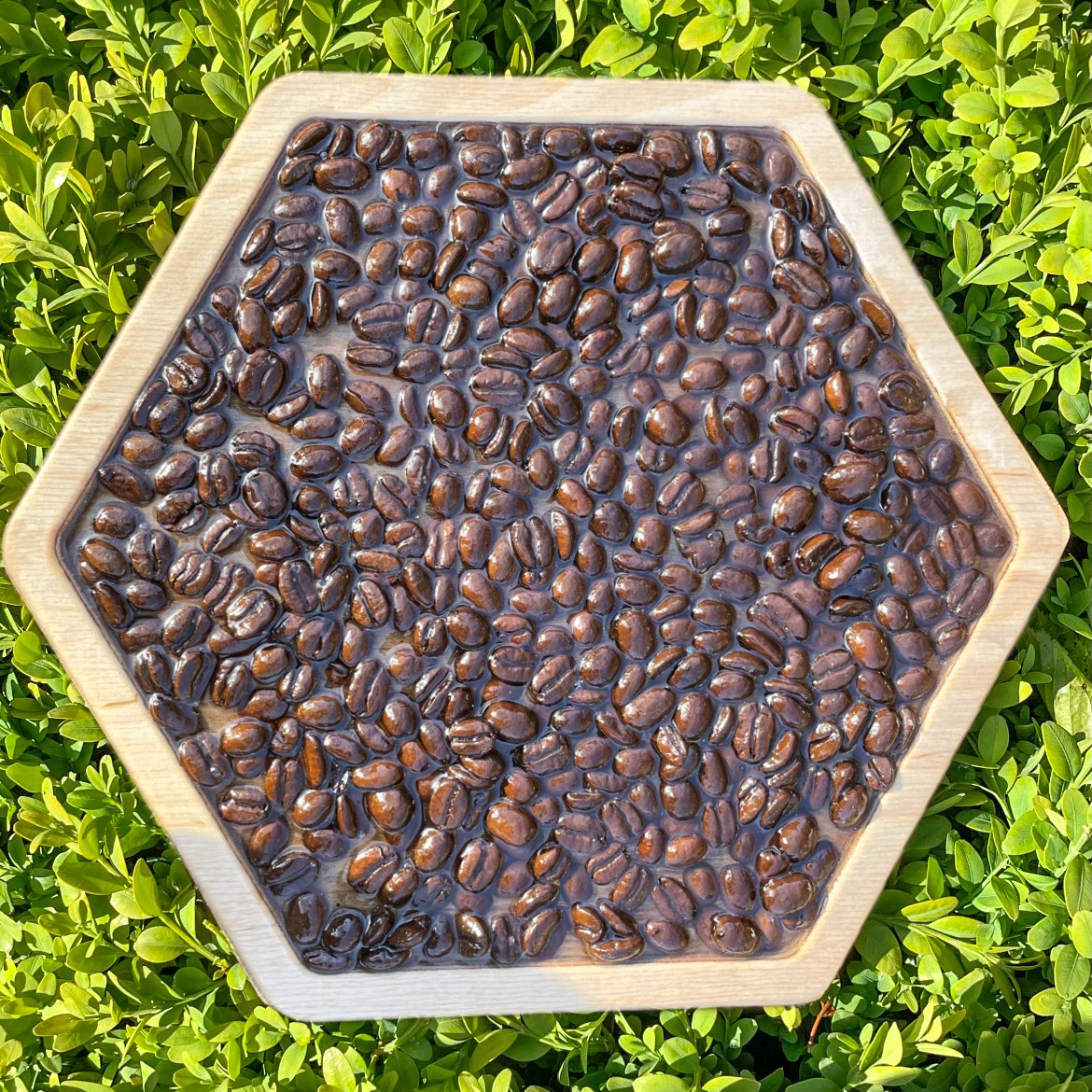 Sensory path large (đường cảm quan) - Hình ảnh 7