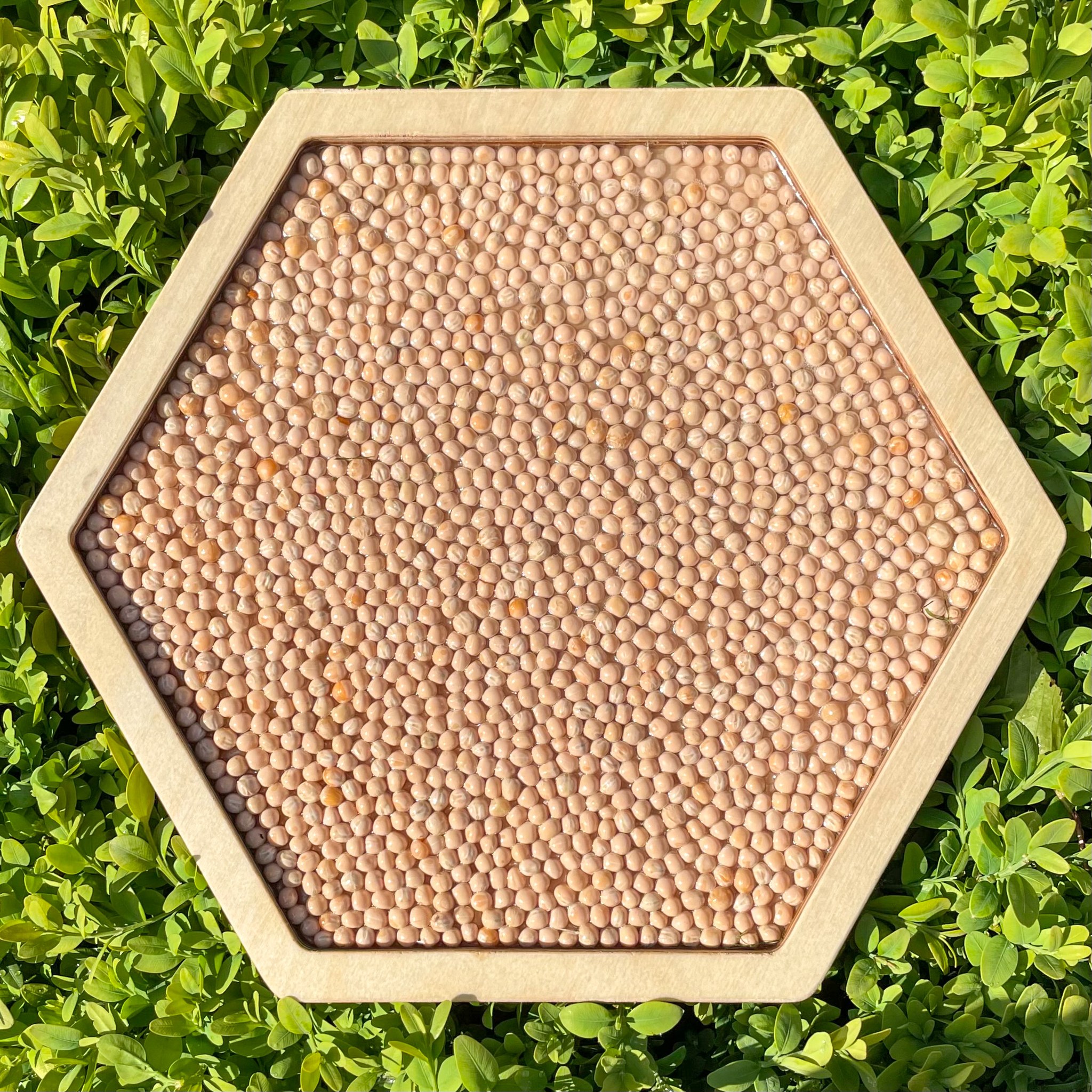 Sensory path large (đường cảm quan) - Hình ảnh 6