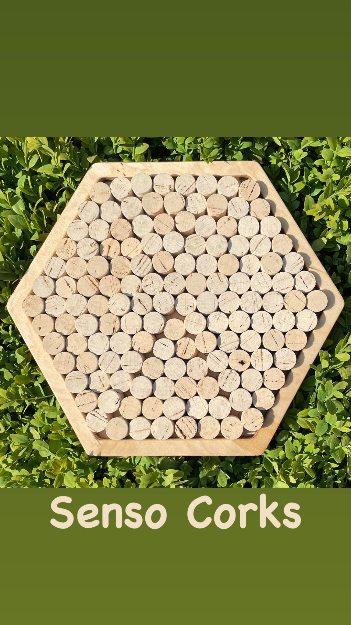 Sensory path large (đường cảm quan) - Hình ảnh 4