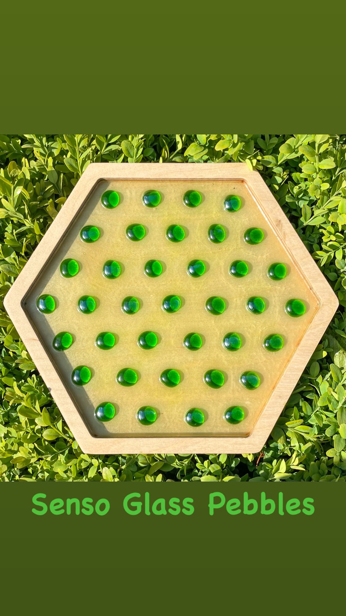 Sensory path large (đường cảm quan)