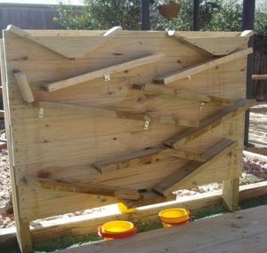 Bộ water play - chơi chuyền nước